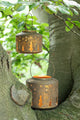 Laterne Winterwald