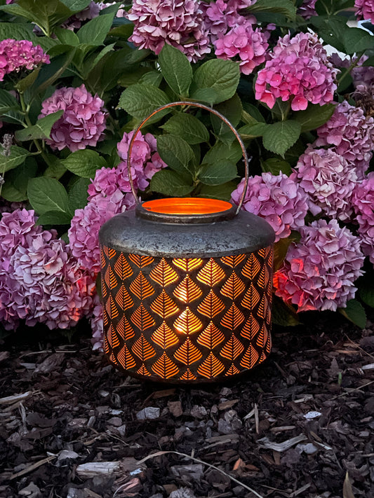 Laterne Blätterregen