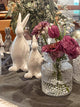 Hase "Mona"